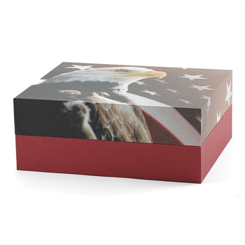 Explorer Scattering Urn Freedom