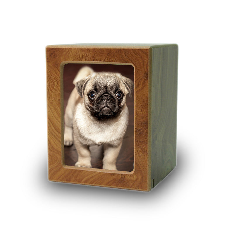 Pet Photo Cremation Urn honey- Extra Small
