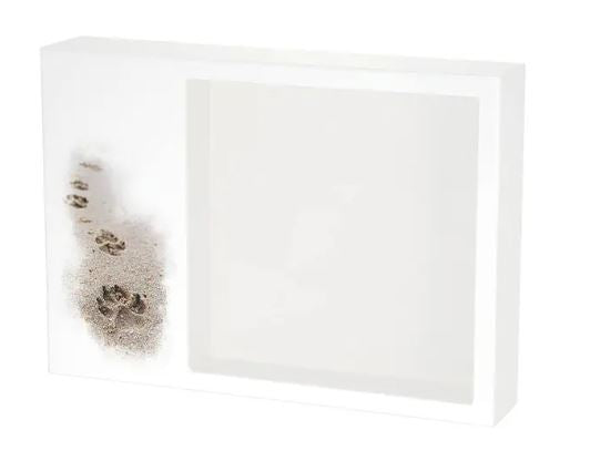 Shadowbox Pet Urn Paws in Sand
