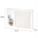 Shadowbox Pet Urn Paws in Sand