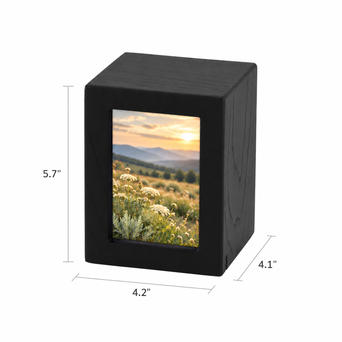 Photo Cremation Urn with Black Finish  - 40 cubic inch
