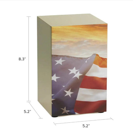 Stars and Stripes Cremation Urn, Bronze - 200 cubic inches