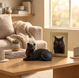 Cozy Cat Cremation Urn - Black