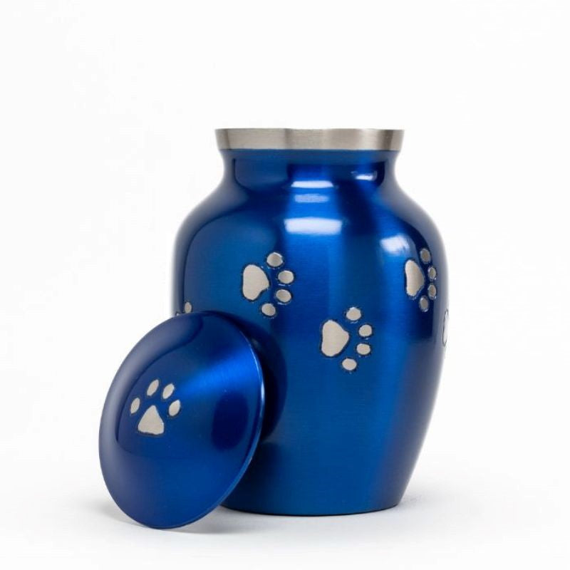 Glossy Blue with Pewter Paw Detail - 30 cubic inch