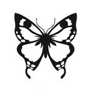 2- Butterfly Engraving