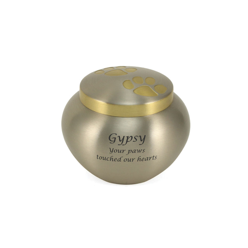 Extra Small Odyssey Pet Urns - Pewter