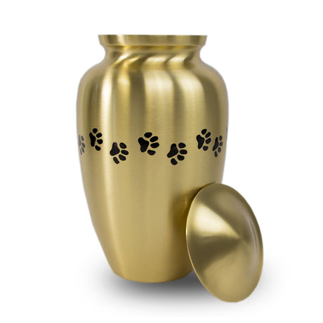 Bronze Paw Cremation Urn - Large