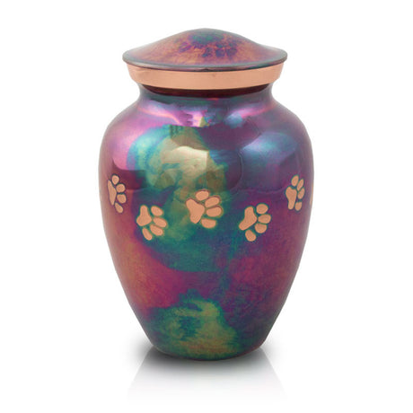 Raku Paw Cremation Urn - Medium