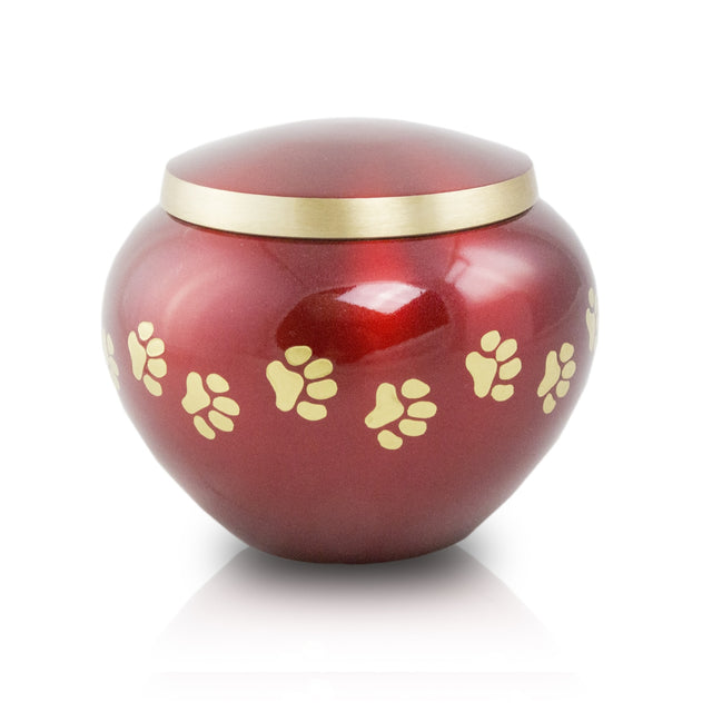 Medium Odyssey Pet Urns - Crimson