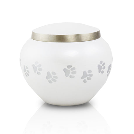 Medium Odyssey Pet Urns - Pearl