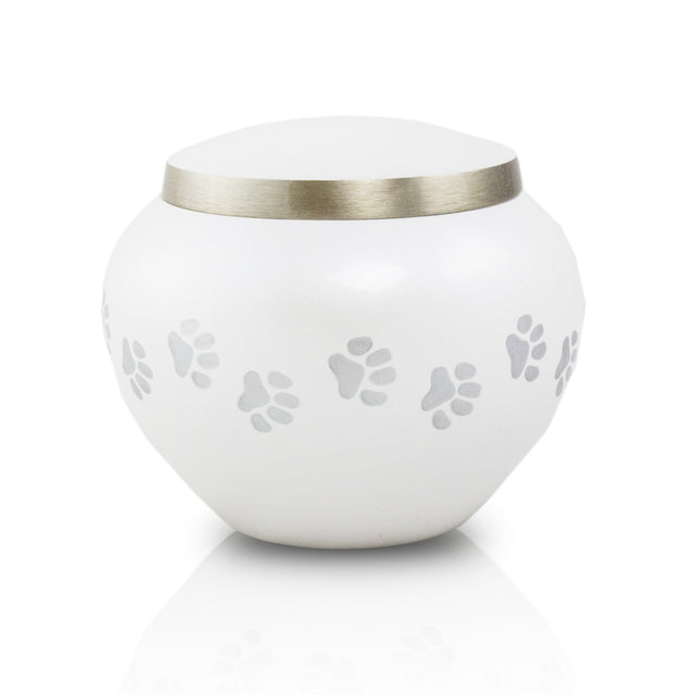 Medium Odyssey Pet Urns - Pearl