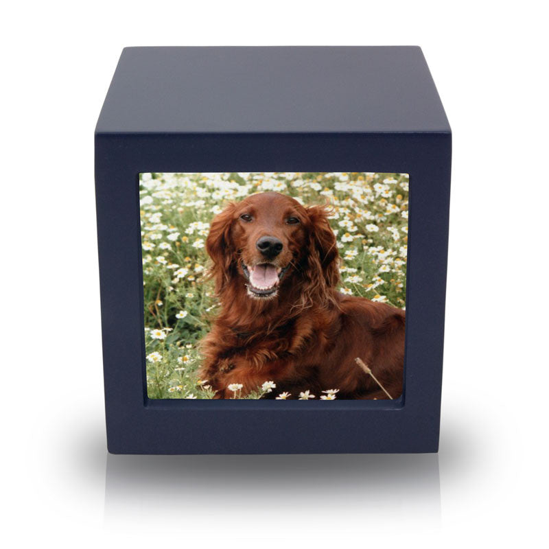 Navy pet cremation urn photo box