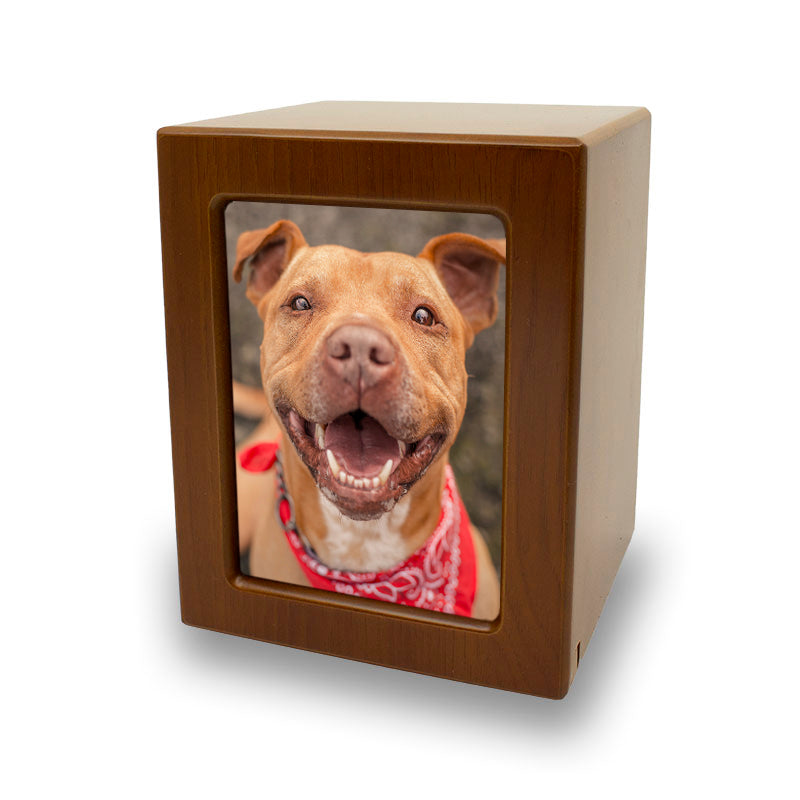 Honeynut Pet Photo Cremation Urn - 80 cubic inch capacity