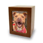 Honeynut Pet Photo Cremation Urn - 80 cubic inch capacity