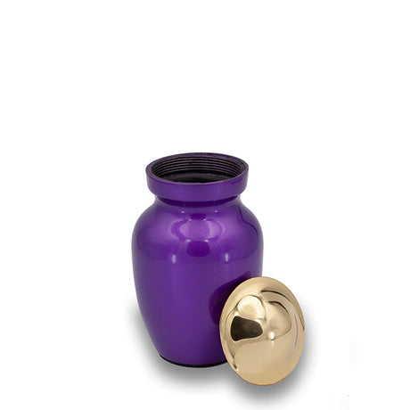 Deep Purple Cremation Urn - 25 cubic inch