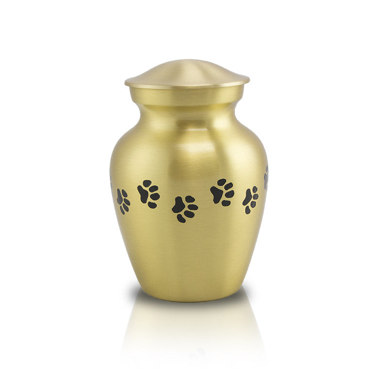 Bronze Paw Cremation Urn - Extra Small
