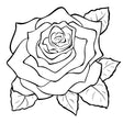 Rose Engraving- Large